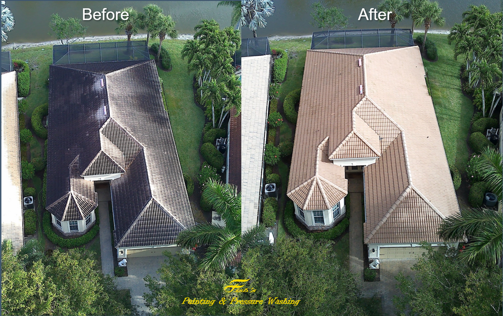 Soft Wash Roof Cleaning
